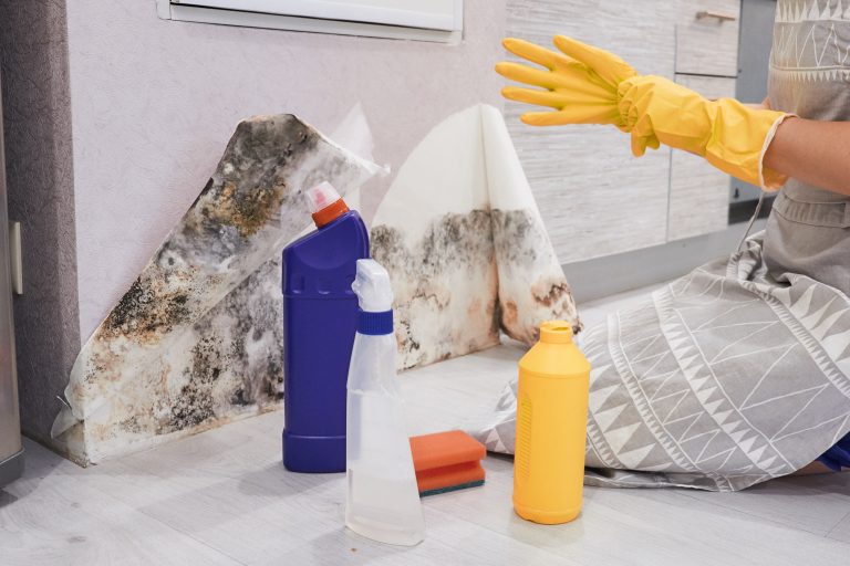 How to prevent mold growth
